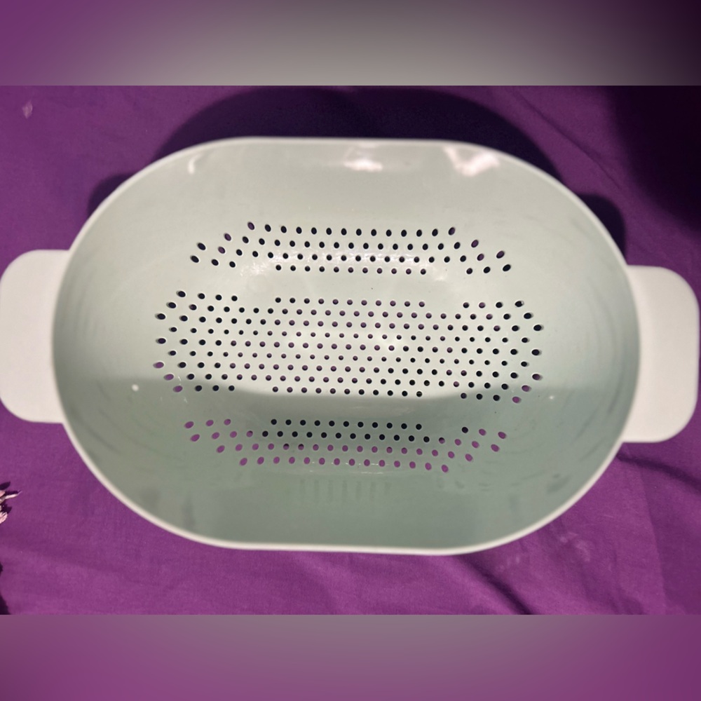 Plastic dish strainer